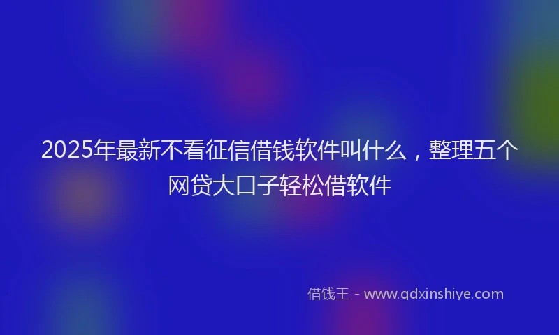 2025年最新不看征信借钱软件叫什么，整理五个网贷大口子轻松借软件