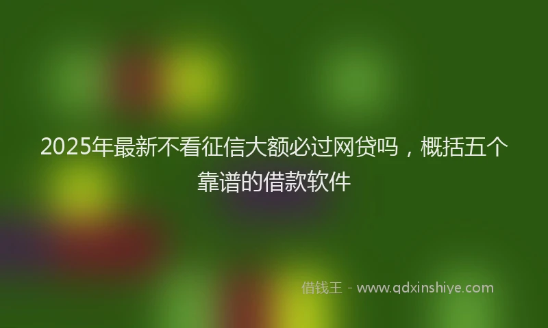 2025年最新不看征信大额必过网贷吗，概括五个靠谱的借款软件