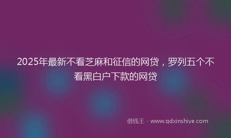 2025年最新不看芝麻和征信的网贷，罗列五个不看黑白户下款的网贷