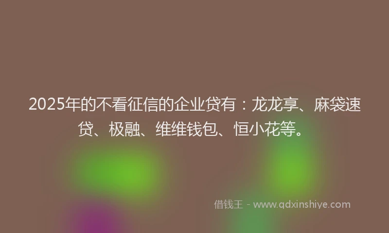 2025年的不看征信的企业贷有：龙龙享、麻袋速贷、极融、维维钱包、恒小花等。