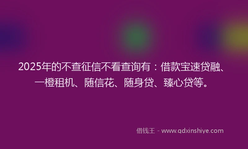 2025年的不查征信不看查询有：借款宝速贷融、一橙租机、随信花、随身贷、臻心贷等。