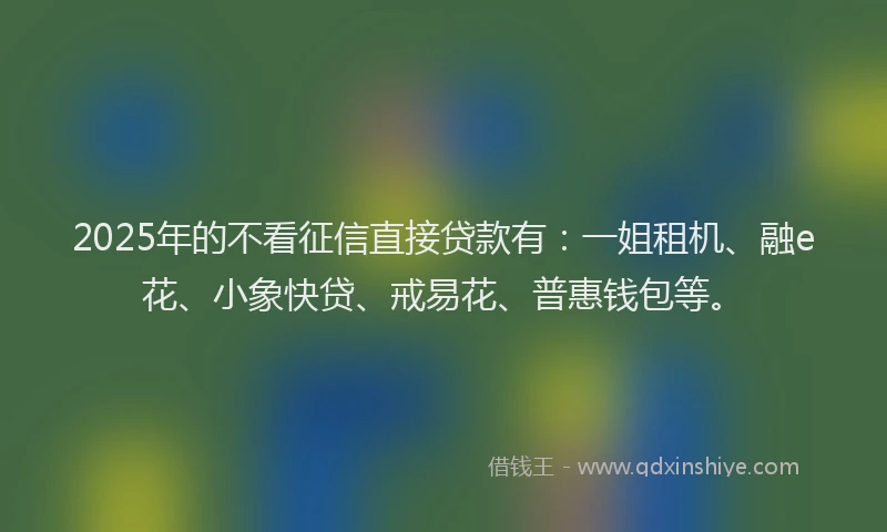 2025年的不看征信直接贷款有：一姐租机、融e花、小象快贷、戒易花、普惠钱包等。