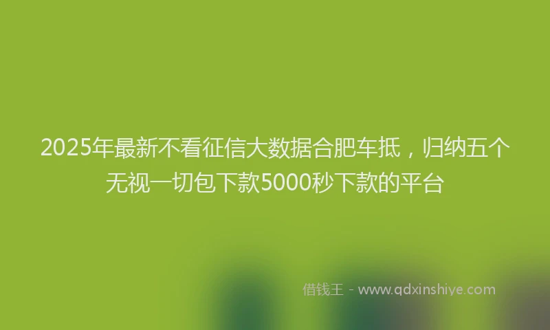 2025年最新不看征信大数据合肥车抵，归纳五个无视一切包下款5000秒下款的平台
