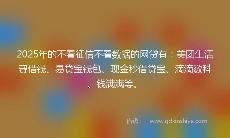 2025年的不看征信不看数据的网贷有：美团生活费借钱、易贷宝钱包、现金秒借贷宝、滴滴数科、钱满满等。