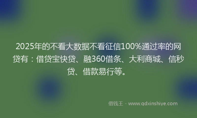 2025年的不看大数据不看征信100%通过率的网贷有：借贷宝快贷、融360借条、大利商城、信秒贷、借款易行等。