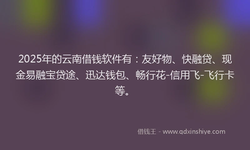 2025年的云南借钱软件有：友好物、快融贷、现金易融宝贷途、迅达钱包、畅行花-信用飞-飞行卡等。