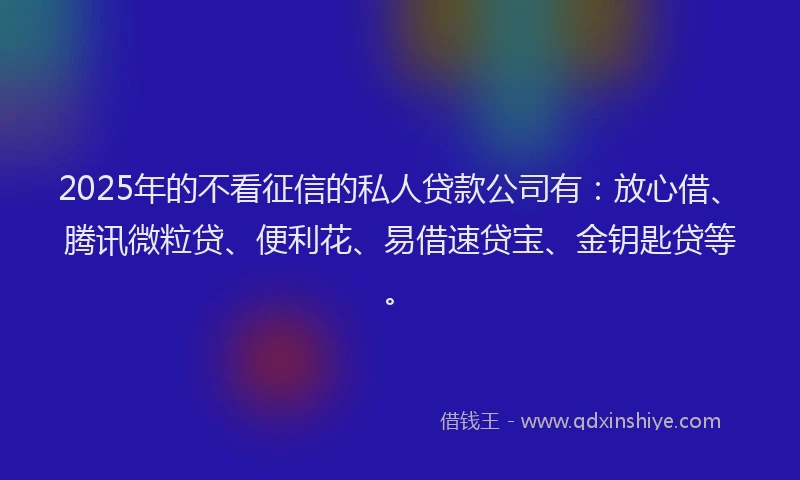 2025年的不看征信的私人贷款公司有：放心借、腾讯微粒贷、便利花、易借速贷宝、金钥匙贷等。