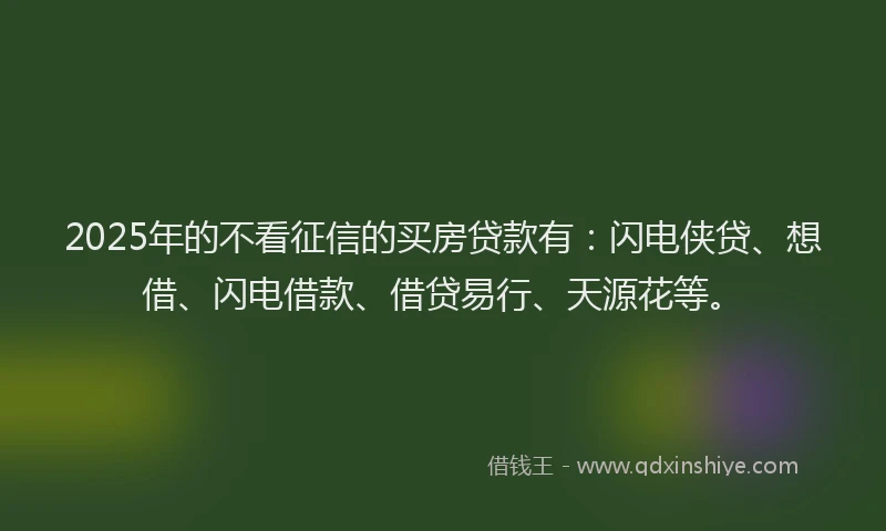 2025年的不看征信的买房贷款有：闪电侠贷、想借、闪电借款、借贷易行、天源花等。