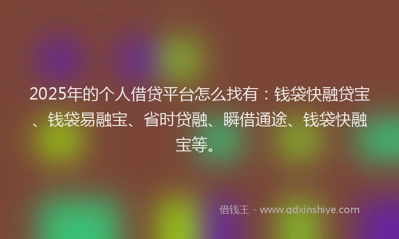 2025年的个人借贷平台怎么找有：钱袋快融贷宝、钱袋易融宝、省时贷融、瞬借通途、钱袋快融宝等。