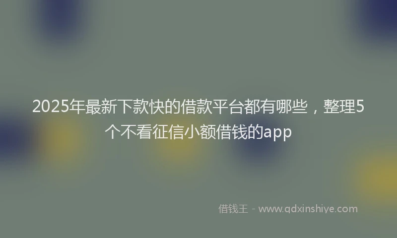 2025年最新下款快的借款平台都有哪些，整理5个不看征信小额借钱的app