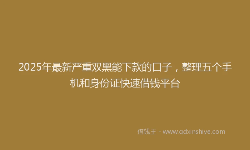 2025年最新严重双黑能下款的口子，整理五个手机和身份证快速借钱平台