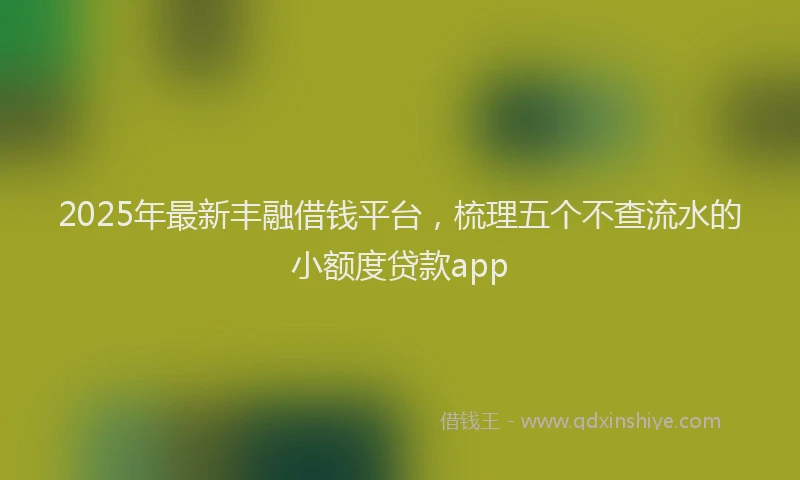 2025年最新丰融借钱平台，梳理五个不查流水的小额度贷款app