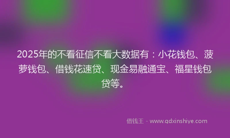 2025年的不看征信不看大数据有：小花钱包、菠萝钱包、借钱花速贷、现金易融通宝、福星钱包贷等。