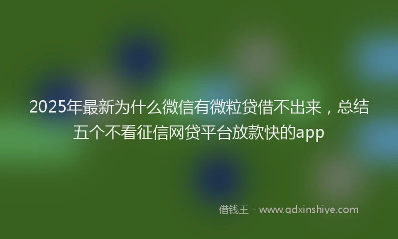 2025年最新为什么微信有微粒贷借不出来，总结五个不看征信网贷平台放款快的app