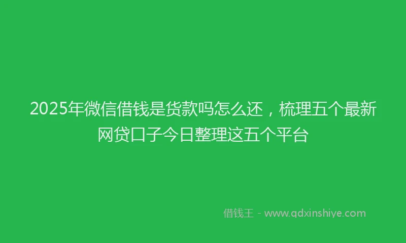 2025年微信借钱是货款吗怎么还，梳理五个最新网贷口子今日整理这五个平台