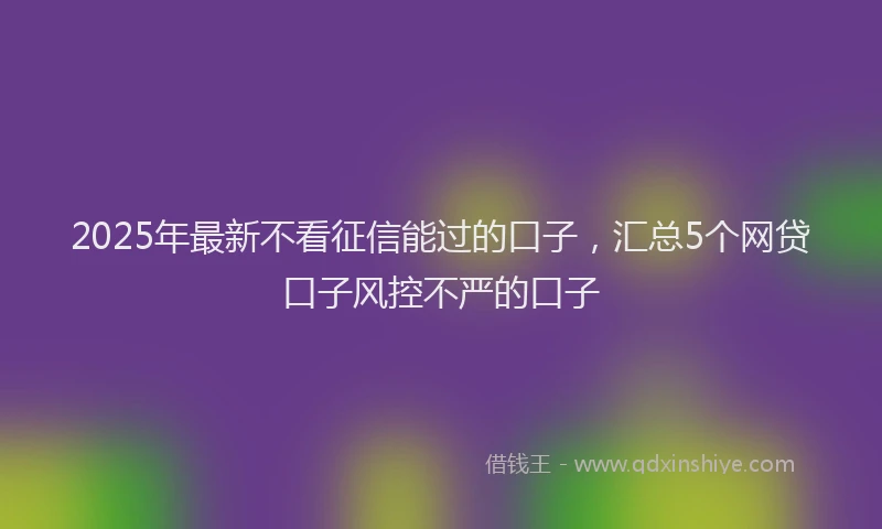 2025年最新不看征信能过的口子，汇总5个网贷口子风控不严的口子