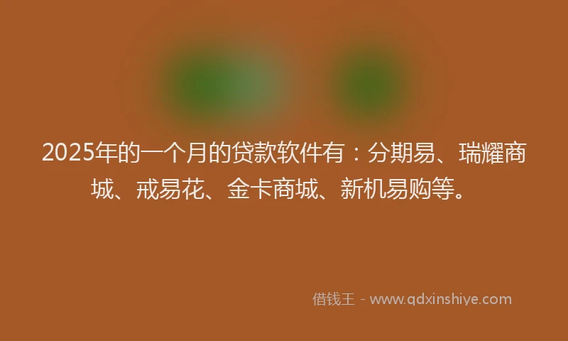 2025年的一个月的贷款软件有：分期易、瑞耀商城、戒易花、金卡商城、新机易购等。