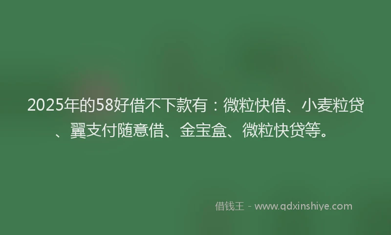 2025年的58好借不下款有：微粒快借、小麦粒贷、翼支付随意借、金宝盒、微粒快贷等。