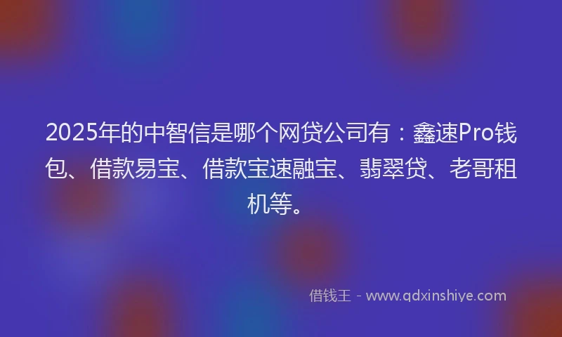 2025年的中智信是哪个网贷公司有：鑫速Pro钱包、借款易宝、借款宝速融宝、翡翠贷、老哥租机等。