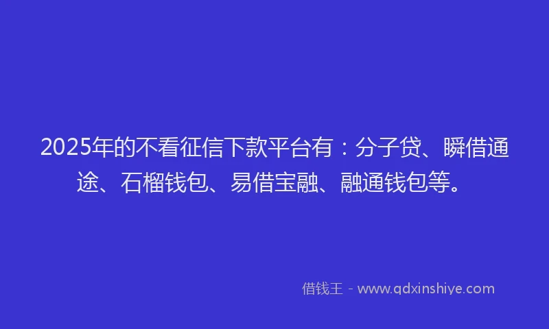 2025年的不看征信下款平台有：分子贷、瞬借通途、石榴钱包、易借宝融、融通钱包等。