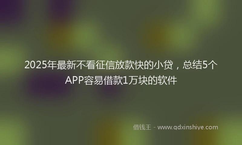 2025年最新不看征信放款快的小贷，总结5个APP容易借款1万块的软件
