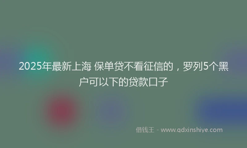 2025年最新上海 保单贷不看征信的，罗列5个黑户可以下的贷款口子