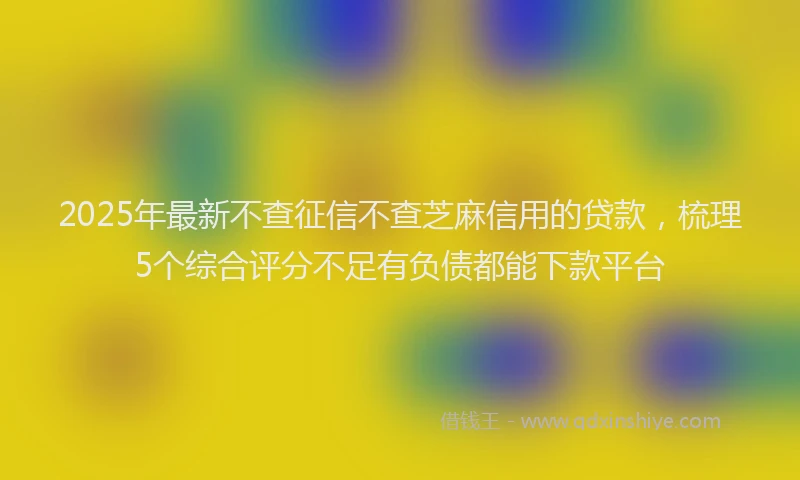 2025年最新不查征信不查芝麻信用的贷款，梳理5个综合评分不足有负债都能下款平台