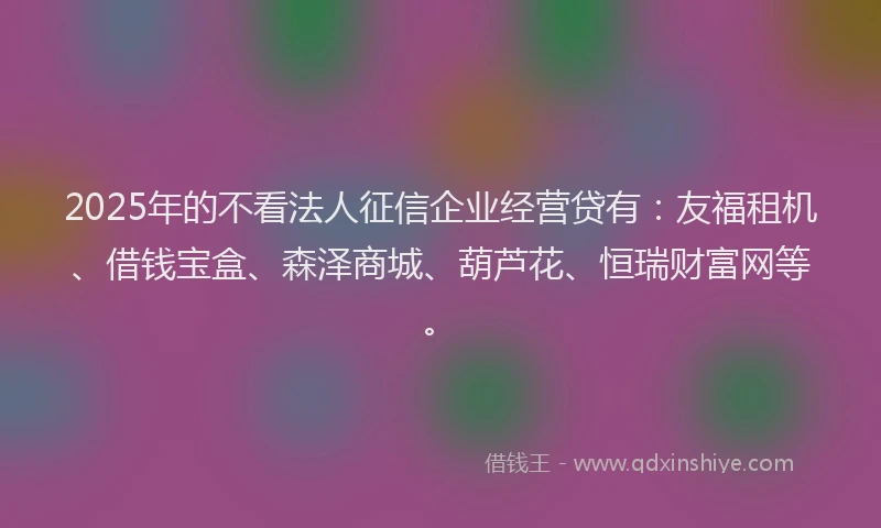 2025年的不看法人征信企业经营贷有：友福租机、借钱宝盒、森泽商城、葫芦花、恒瑞财富网等。