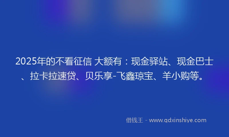 2025年的不看征信 大额有：现金驿站、现金巴士、拉卡拉速贷、贝乐享-飞鑫琼宝、羊小购等。