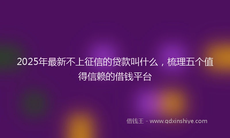 2025年最新不上征信的贷款叫什么，梳理五个值得信赖的借钱平台