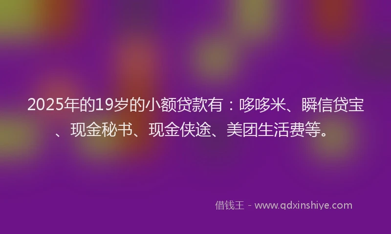 2025年的19岁的小额贷款有：哆哆米、瞬信贷宝、现金秘书、现金侠途、美团生活费等。