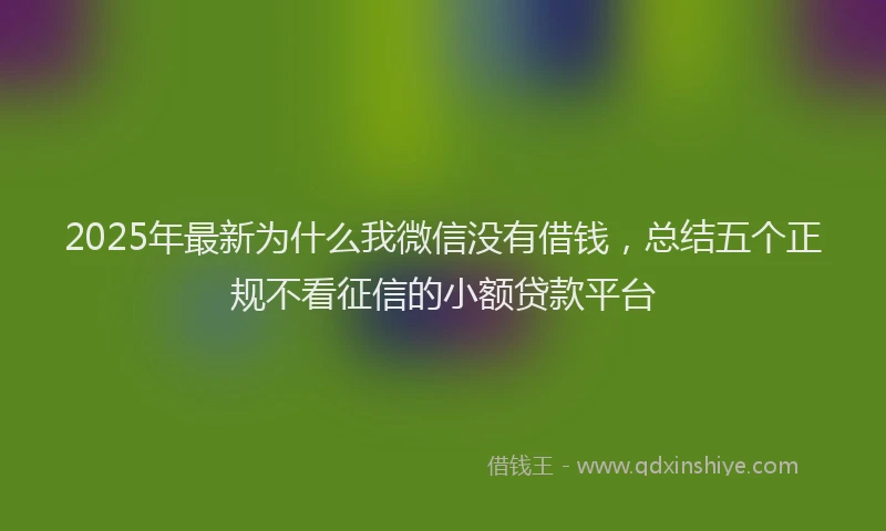 2025年最新为什么我微信没有借钱，总结五个正规不看征信的小额贷款平台
