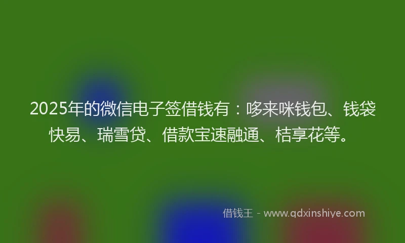 2025年的微信电子签借钱有：哆来咪钱包、钱袋快易、瑞雪贷、借款宝速融通、桔享花等。