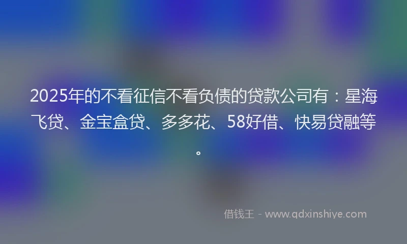 2025年的不看征信不看负债的贷款公司有：星海飞贷、金宝盒贷、多多花、58好借、快易贷融等。