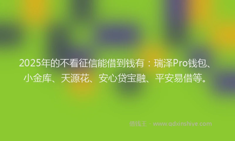 2025年的不看征信能借到钱有：瑞泽Pro钱包、小金库、天源花、安心贷宝融、平安易借等。