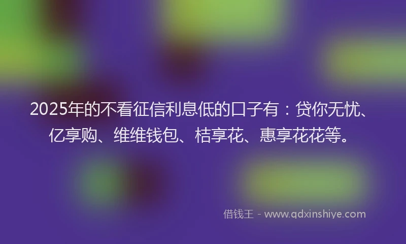 2025年的不看征信利息低的口子有：贷你无忧、亿享购、维维钱包、桔享花、惠享花花等。