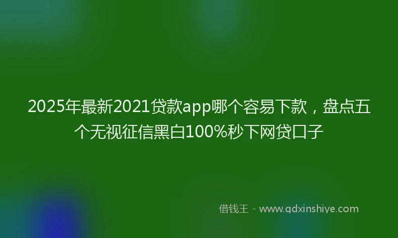 2025年最新2021贷款app哪个容易下款，盘点五个无视征信黑白100%秒下网贷口子