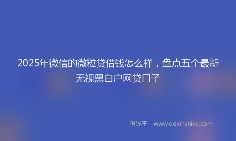 2025年微信的微粒贷借钱怎么样，盘点五个最新无视黑白户网贷口子