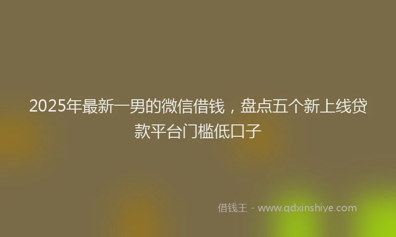 2025年最新一男的微信借钱，盘点五个新上线贷款平台门槛低口子