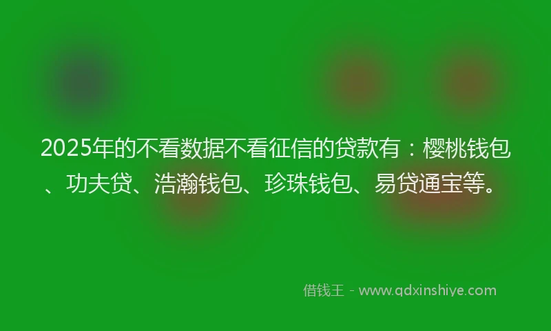 2025年的不看数据不看征信的贷款有：樱桃钱包、功夫贷、浩瀚钱包、珍珠钱包、易贷通宝等。