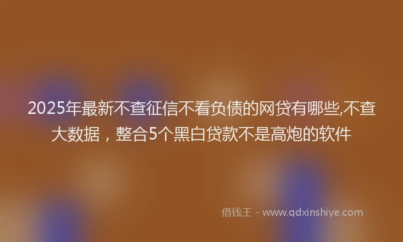 2025年最新不查征信不看负债的网贷有哪些,不查大数据，整合5个黑白贷款不是高炮的软件