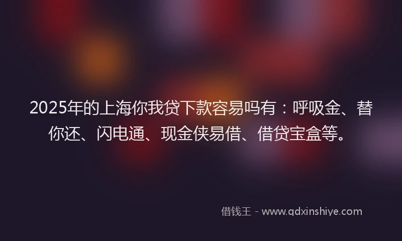 2025年的上海你我贷下款容易吗有：呼吸金、替你还、闪电通、现金侠易借、借贷宝盒等。