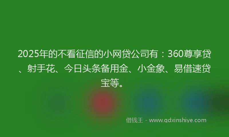 2025年的不看征信的小网贷公司有：360尊享贷、射手花、今日头条备用金、小金象、易借速贷宝等。