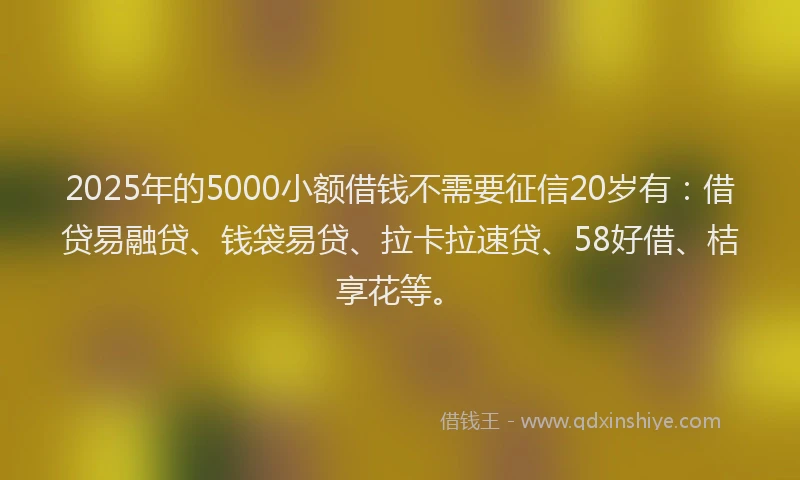 2025年的5000小额借钱不需要征信20岁有：借贷易融贷、钱袋易贷、拉卡拉速贷、58好借、桔享花等。