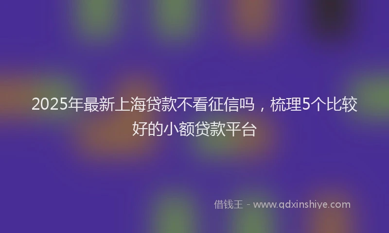 2025年最新上海贷款不看征信吗，梳理5个比较好的小额贷款平台