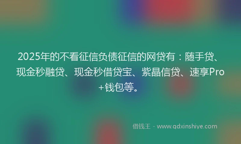 2025年的不看征信负债征信的网贷有：随手贷、现金秒融贷、现金秒借贷宝、紫晶信贷、速享Pro+钱包等。