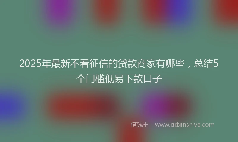 2025年最新不看征信的贷款商家有哪些，总结5个门槛低易下款口子