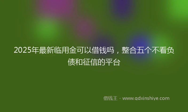 2025年最新临用金可以借钱吗，整合五个不看负债和征信的平台