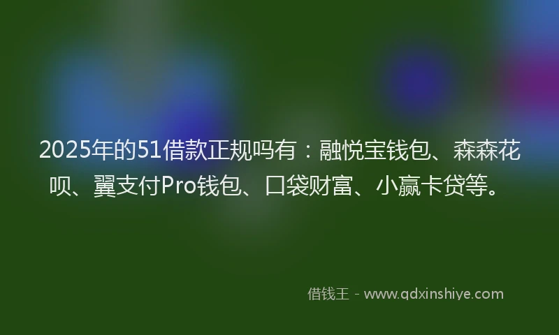 2025年的51借款正规吗有：融悦宝钱包、森森花呗、翼支付Pro钱包、口袋财富、小赢卡贷等。