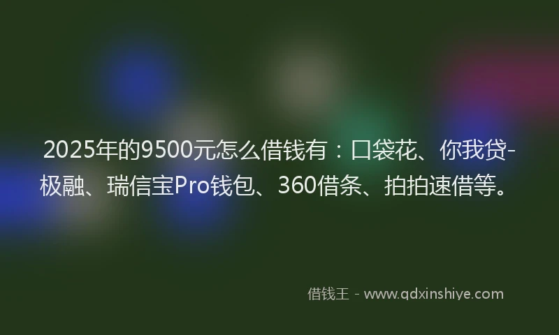 2025年的9500元怎么借钱有：口袋花、你我贷-极融、瑞信宝Pro钱包、360借条、拍拍速借等。